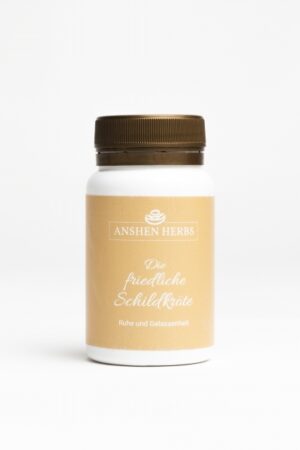 Die friedliche Schildkröte – für mehr Ruhe und Gelassenheit